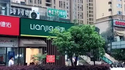 所以说开店位置很重要,你看这五家房产中介,养活旁边一家的复印店