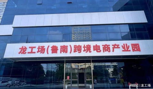 数字贸易产业服务助力 枣庄龙工场日用品出口业务订单实现交付