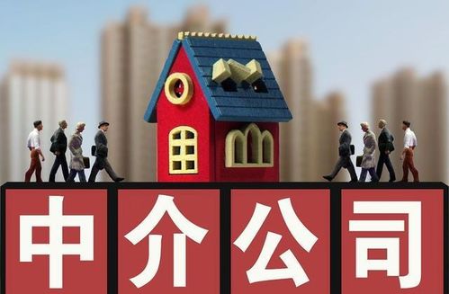 全国首创全面取消房产中介服务,你怎么看