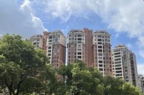 中字头集体大涨,中南股份、中国铁建涨停,央企回报ETF(561960)涨3.75%
