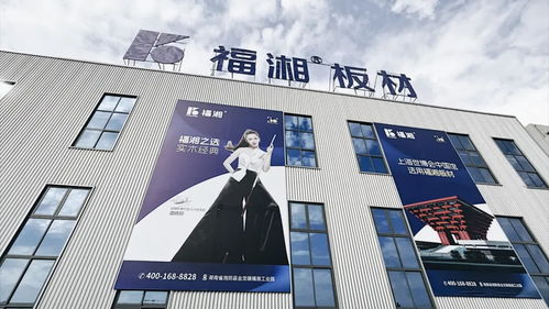 创新齐聚力 同心向未来丨福湘北方 临沂 客户服务中心成立暨新产品发布会圆满成功