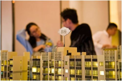 惠州这个楼盘,凭什么能 刷爆 深圳人的社交圈
